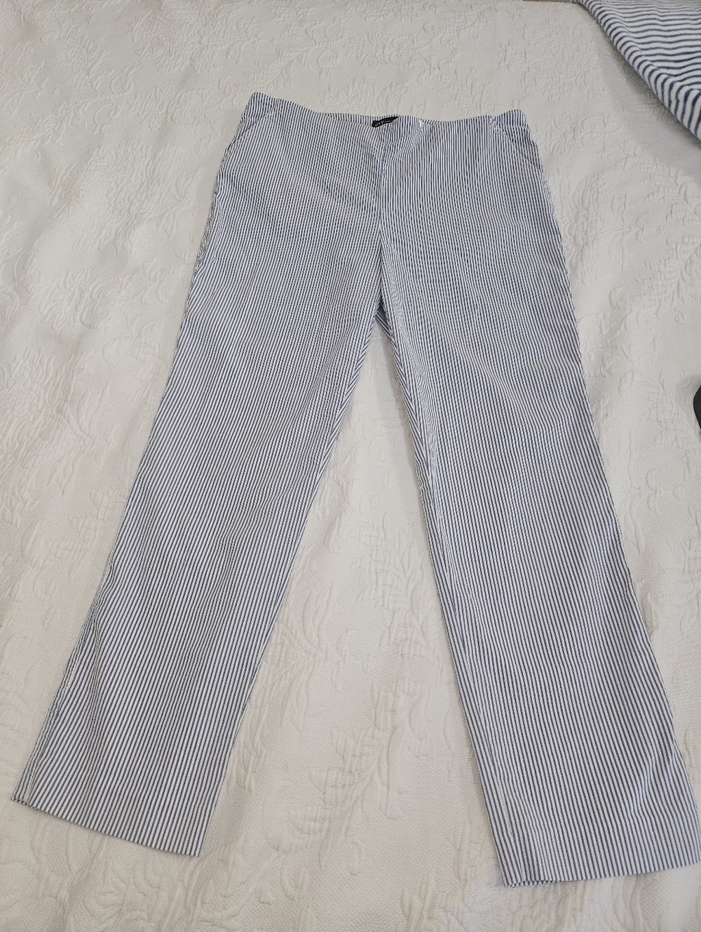Womens Narrow Blue Stripe Ankle Length  Pants - Blue/White Stripe